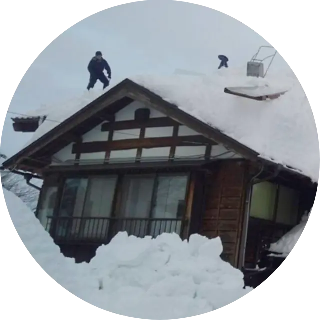 耐雪（たいせつ）