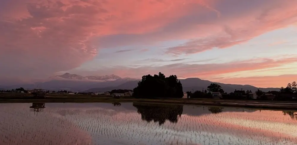 ウッドデッキからの水田と妙高戸隠連山